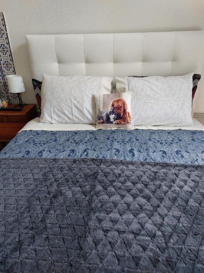 Residencia Ceu Azul Guest house *